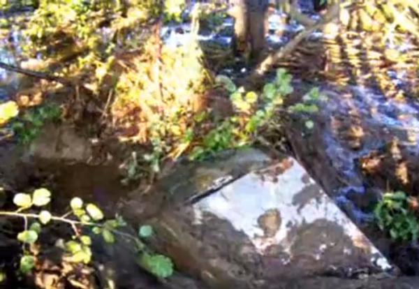 Off_road_dla_odwaznych_terenowe_auta_pl_zmota