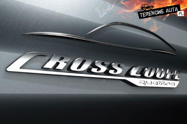 Terenowe_auta_crossover_suv_Audi_Q3_11