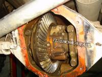 Aktualizacja: Dział "ARTYKUŁY"